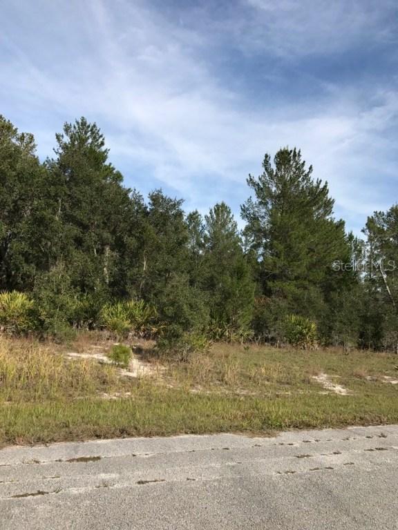 Gladiola Ct., Poinciana, FL 34759