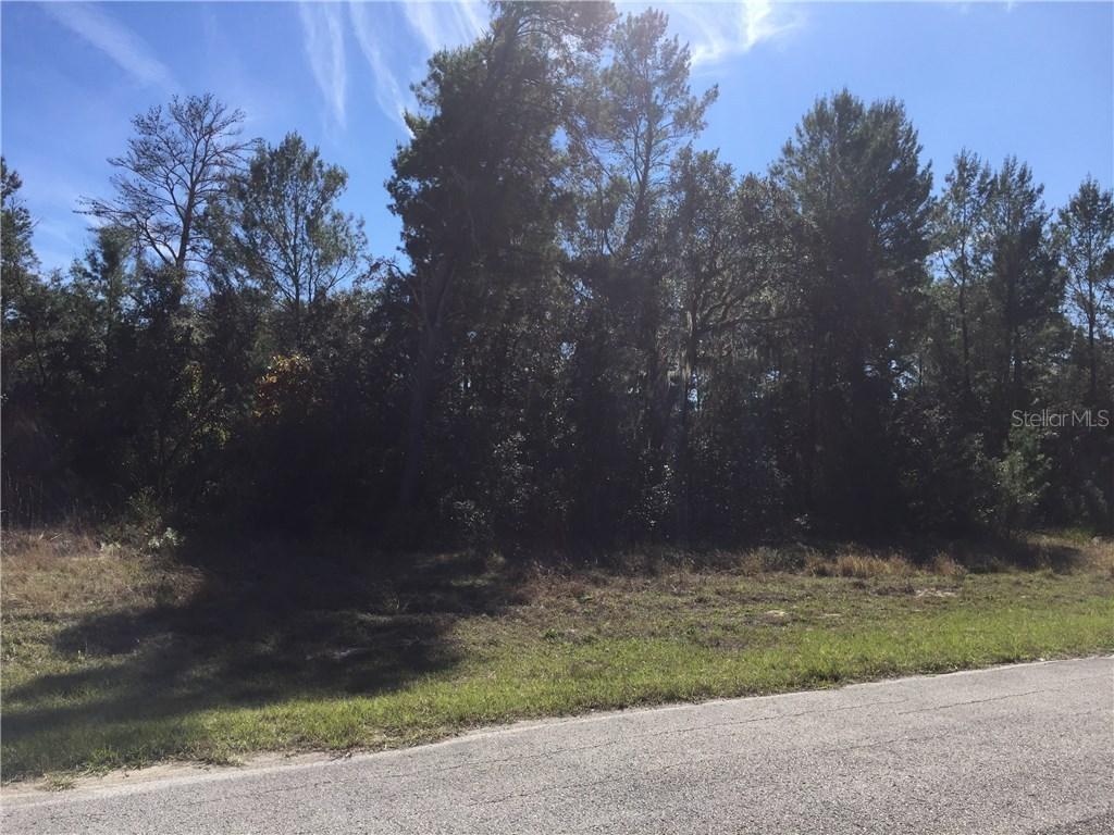 Elm Ct., Poinciana, FL 34759