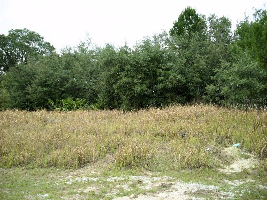 109 Willow Dr., Poinciana, FL 34759