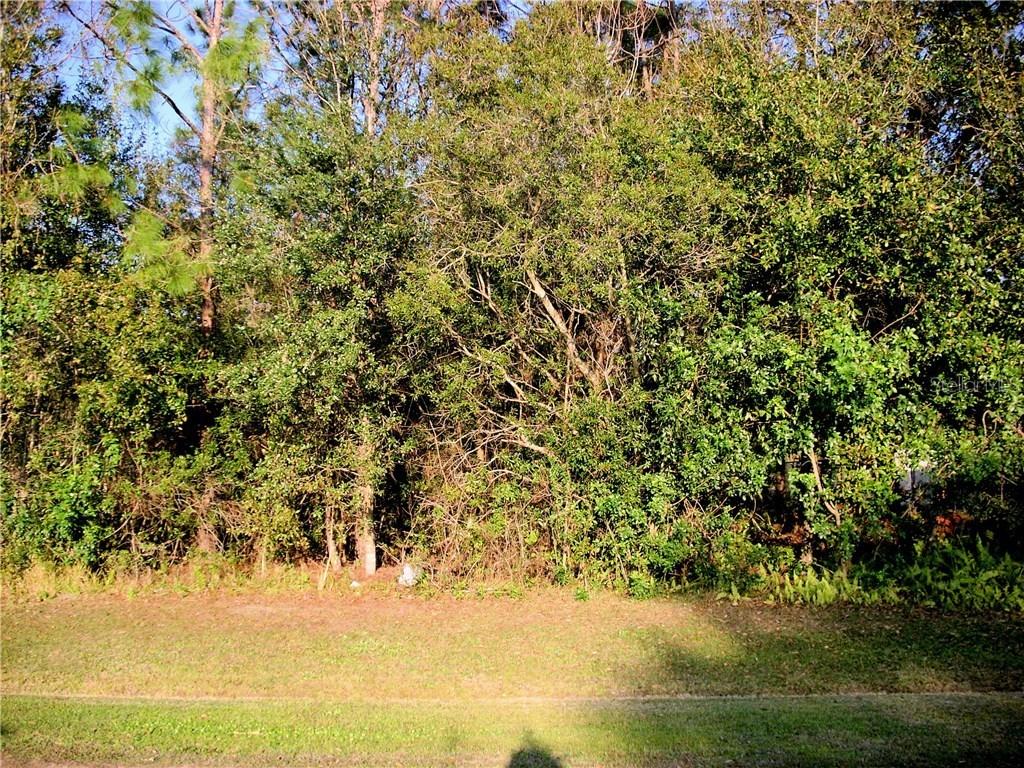 323 Clermont Dr., Kissimmee, FL 34759