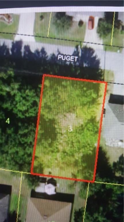 1004 Puget Ln., Kissimmee, FL 34759