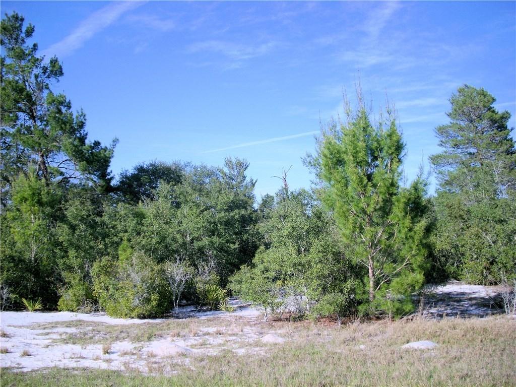 17 Orchid Ln., Poinciana, FL 34759