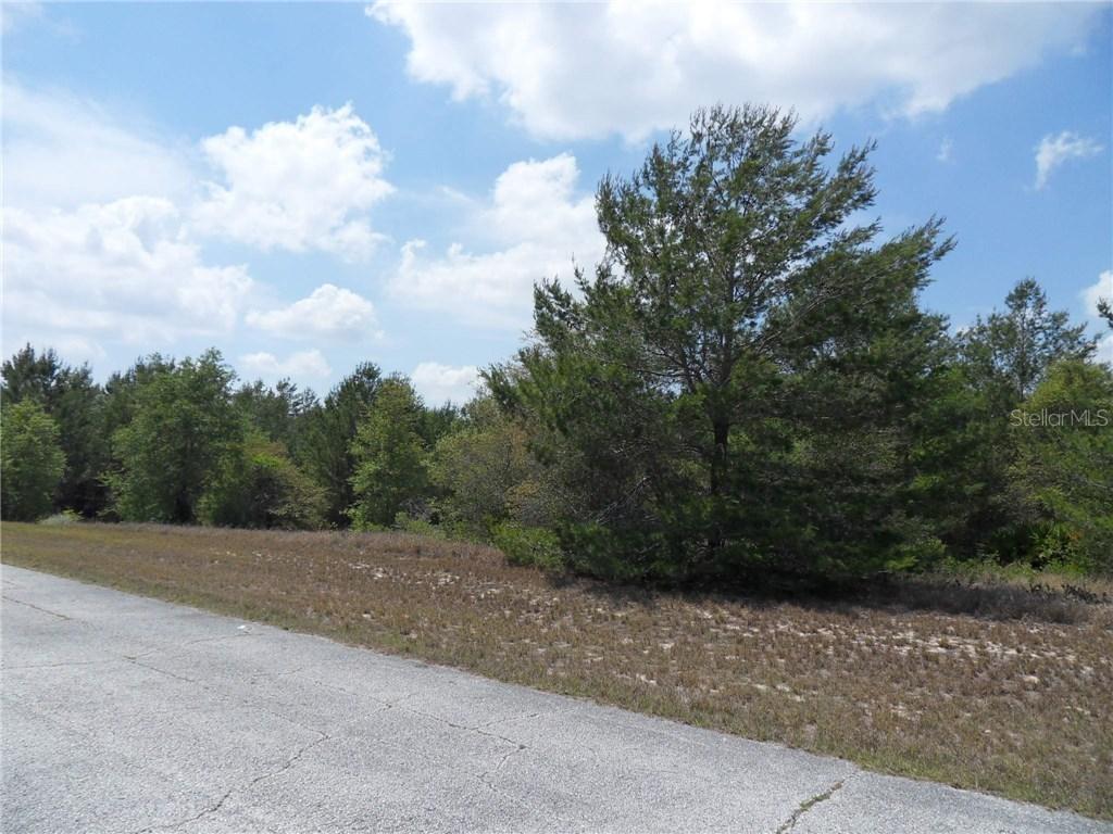 Hillsborough Dr., Poinciana, FL 34759