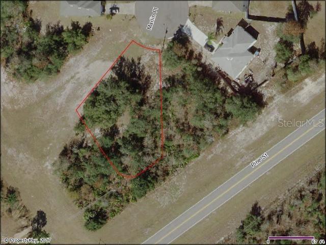 1706 Snook Pl., Poinciana, FL 34759