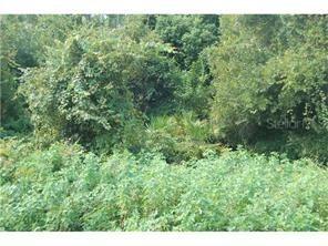 1433 Orlando Ct., Kissimmee, FL 34759