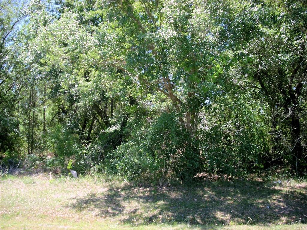 1002 Orly Dr., Kissimmee, FL 34759