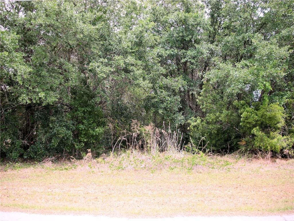 1001 Pantheon Dr., Kissimmee, FL 34759