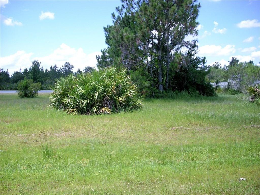 1151 Saint Tropez Ct., Kissimmee, FL 34759