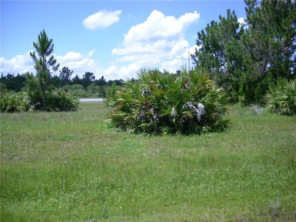 1149 Saint Tropez Ct., Kissimmee, FL 34759