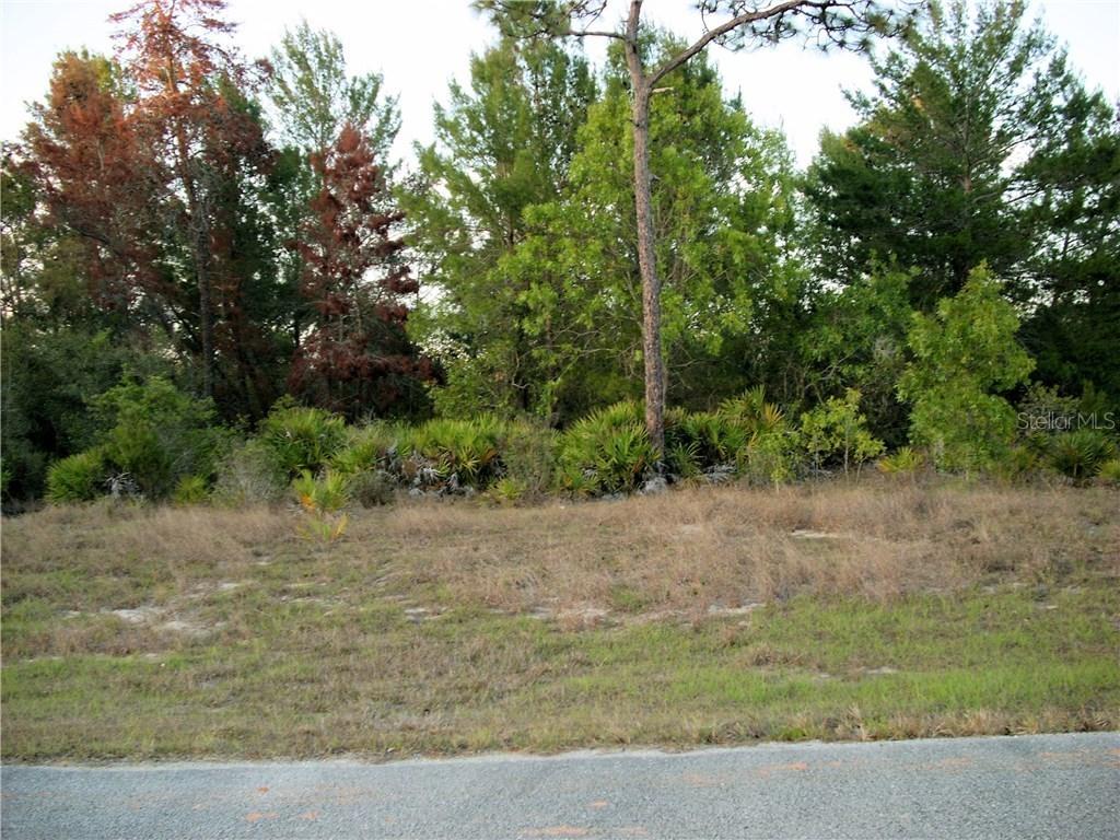 231 Gladiola Ct., Poinciana, FL 34759
