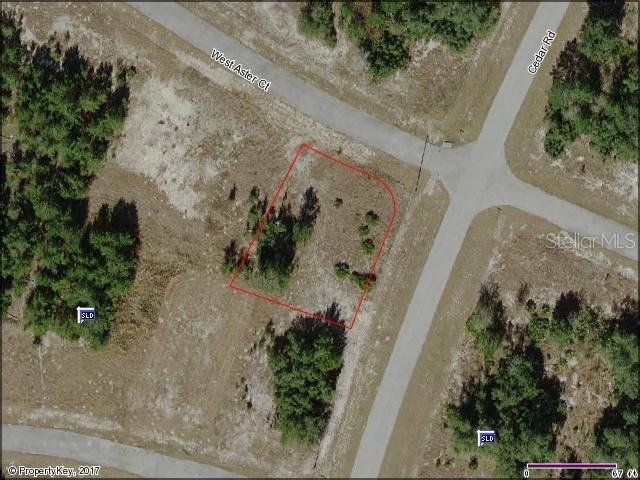 399 Aster Ct., Poinciana, FL 34759