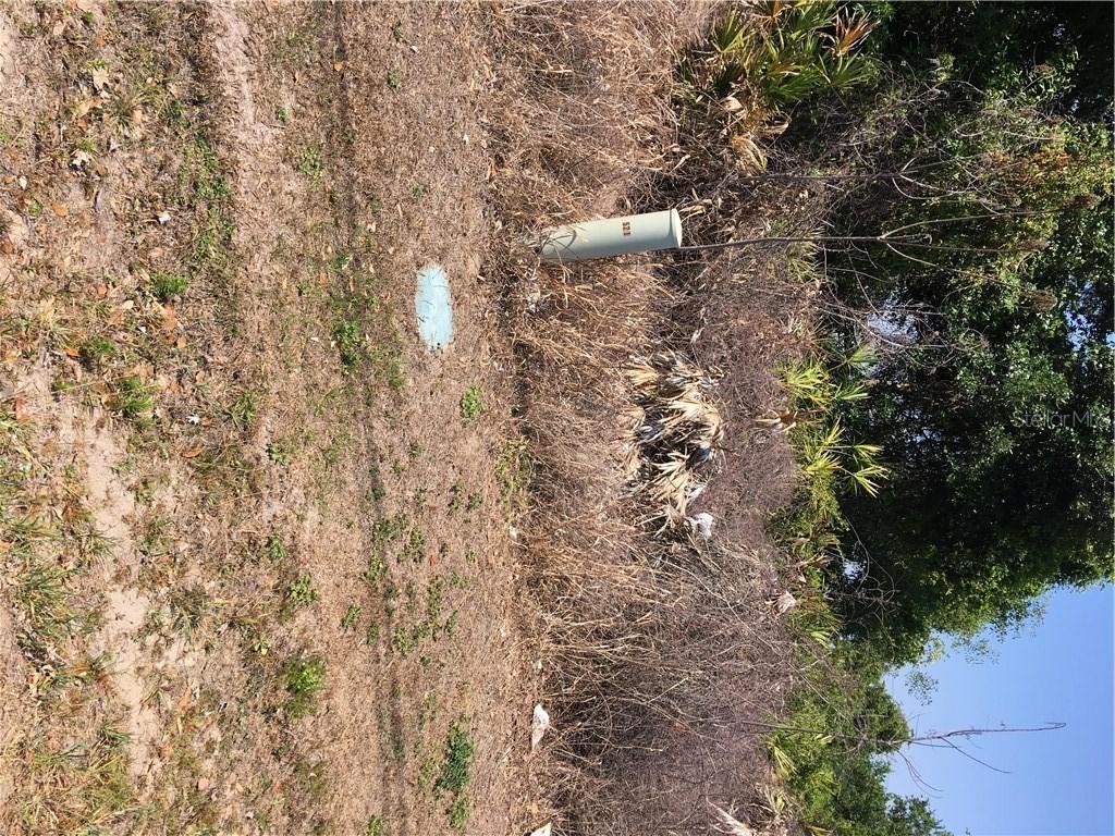 Albatross Dr., Poinciana, FL 34759