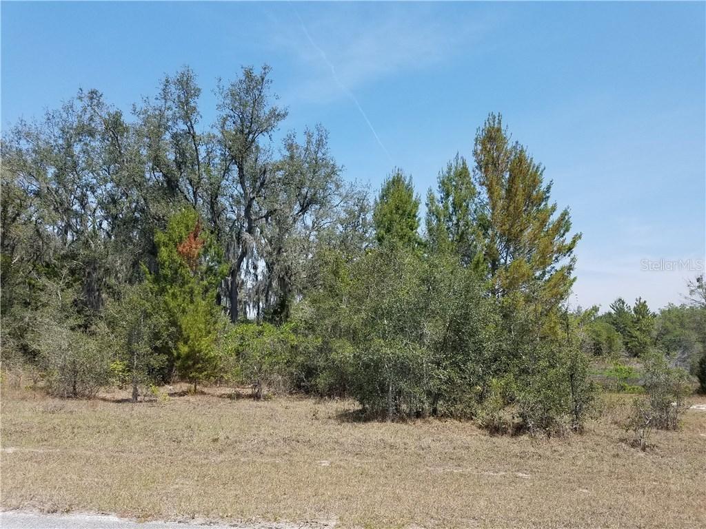 215 Elm Ct., Poinciana, FL 34759