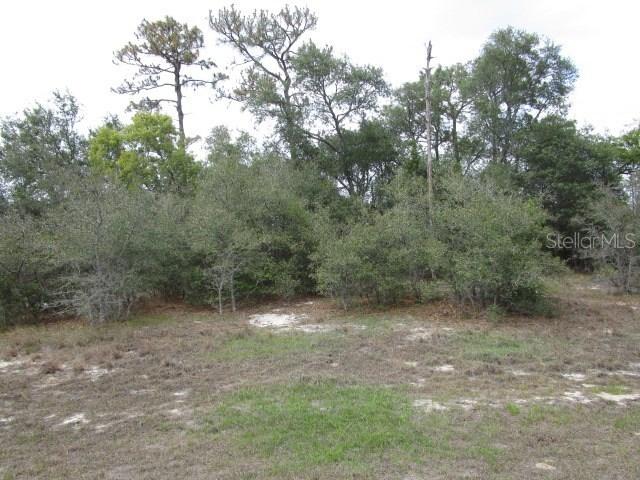 303 Fern Ct., Poinciana, FL 34759