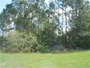 Colonade Ct., Kissimmee, FL 34758