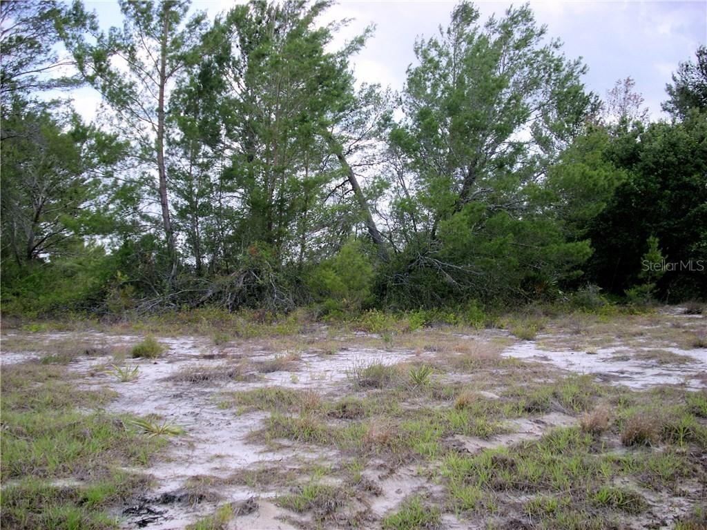 95 Orchid Ct., Poinciana, FL 34759