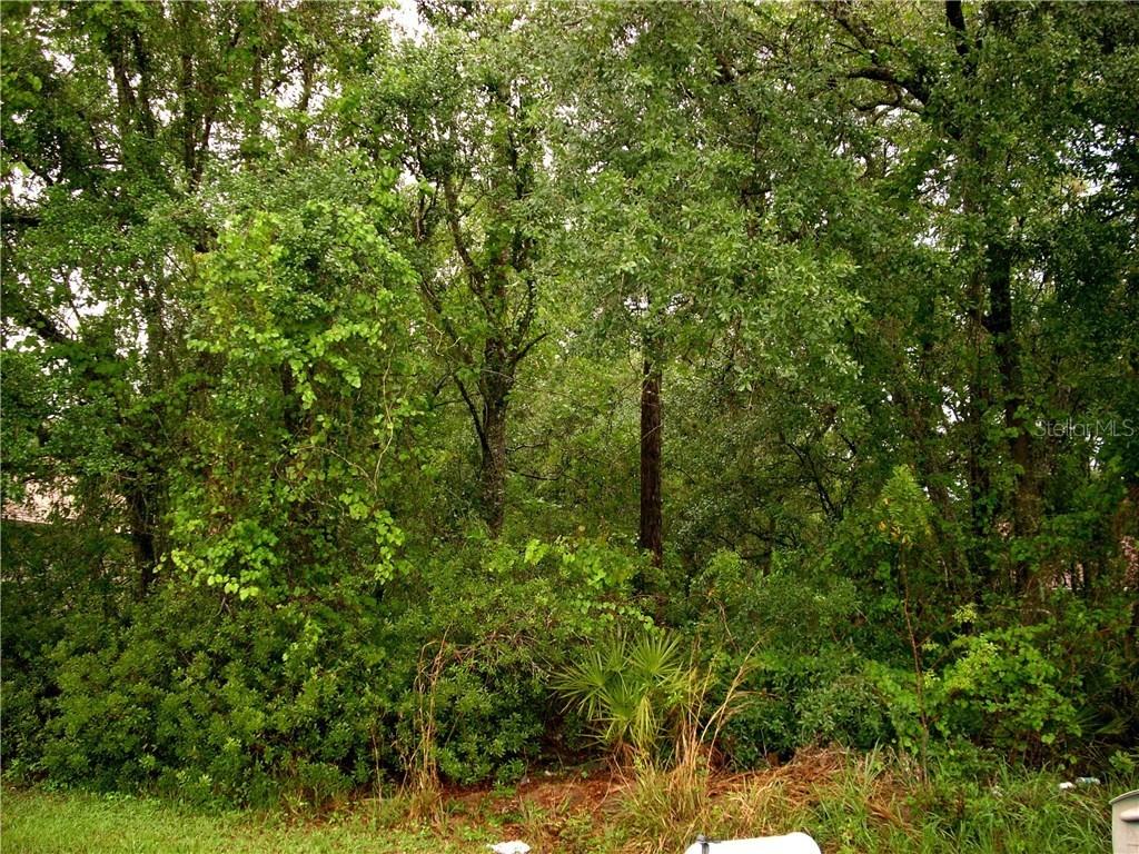 1950 Michigan Dr., Poinciana, FL 34759