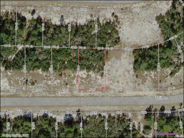 113 Tulip Ln., Poinciana, FL 34759