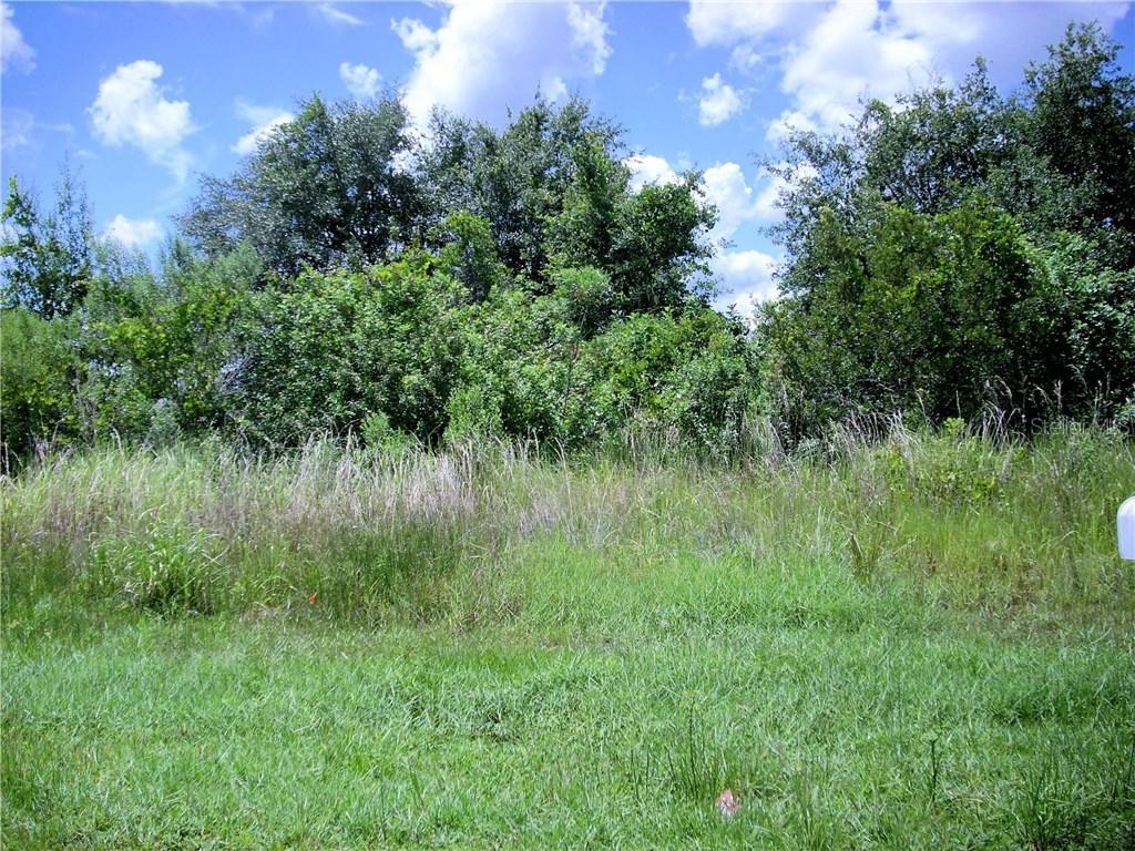 845 Blanc Ct., Kissimmee, FL 34759