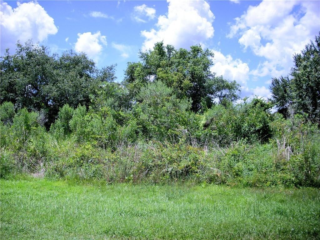 843 Blanc Ct., Kissimmee, FL 34759
