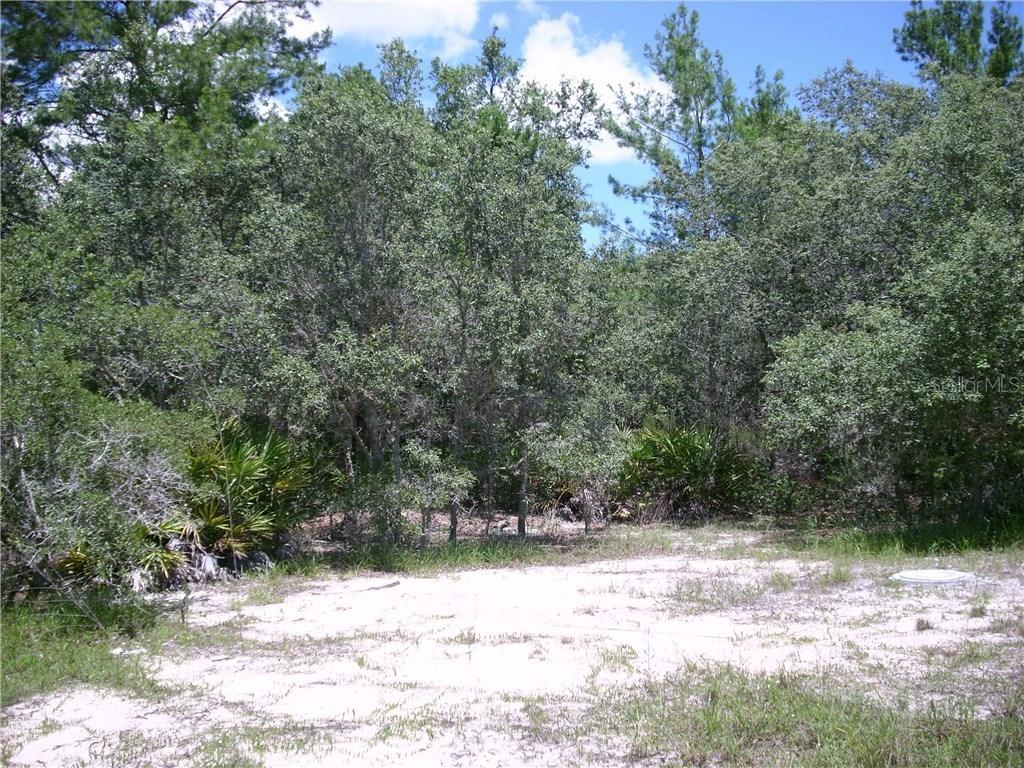 348 Fern Ct., Poinciana, FL 34759