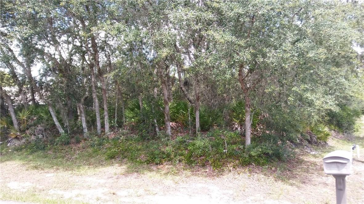 327 Anchovie Ct., Poinciana, FL 34759