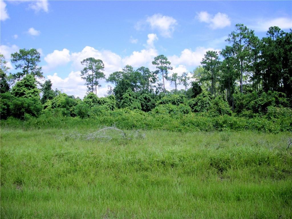856 Hudson Valley Dr., Poinciana, FL 34759