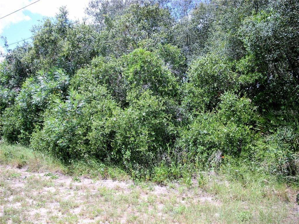 1926 Sawfish Dr., Poinciana, FL 34759