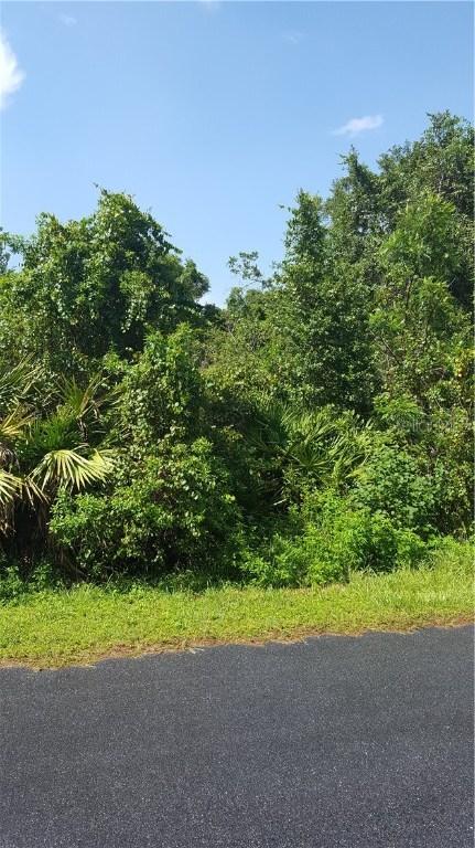 Citrus Dr., Saint Cloud, FL 34772