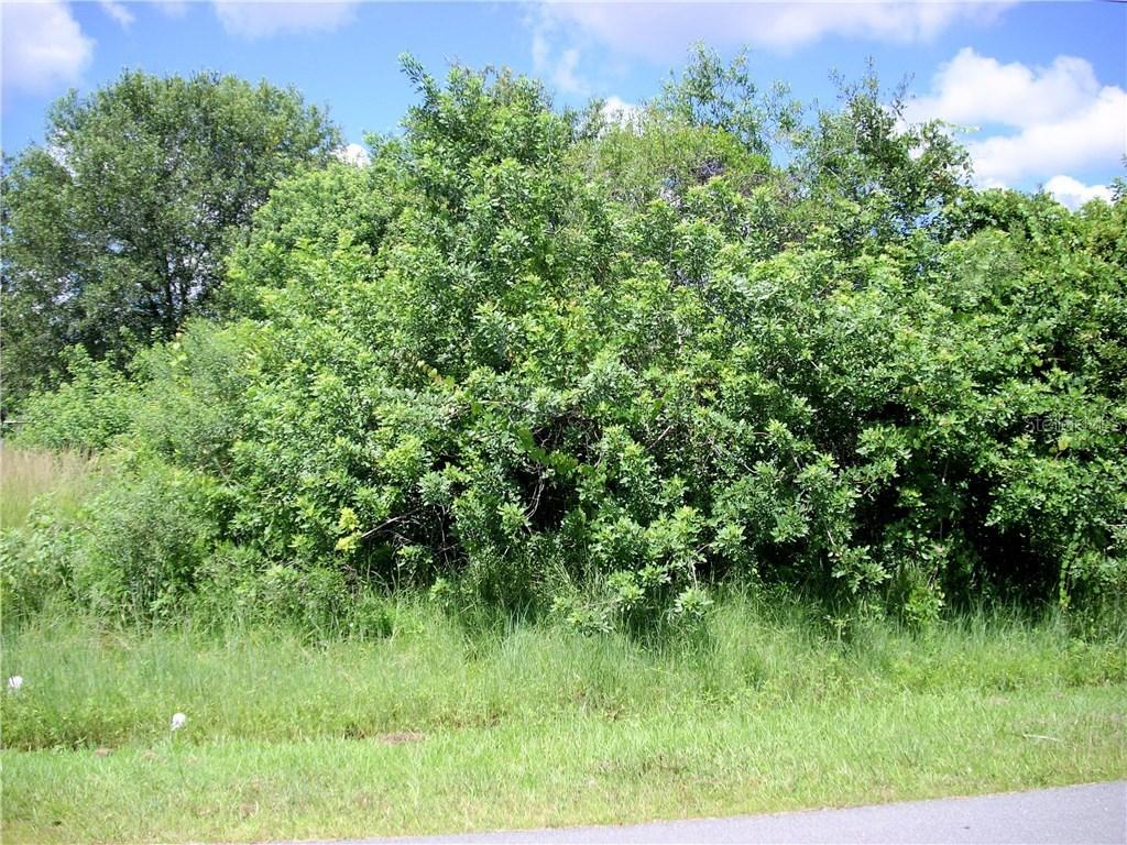710 Leopard Ct., Poinciana, FL 34759