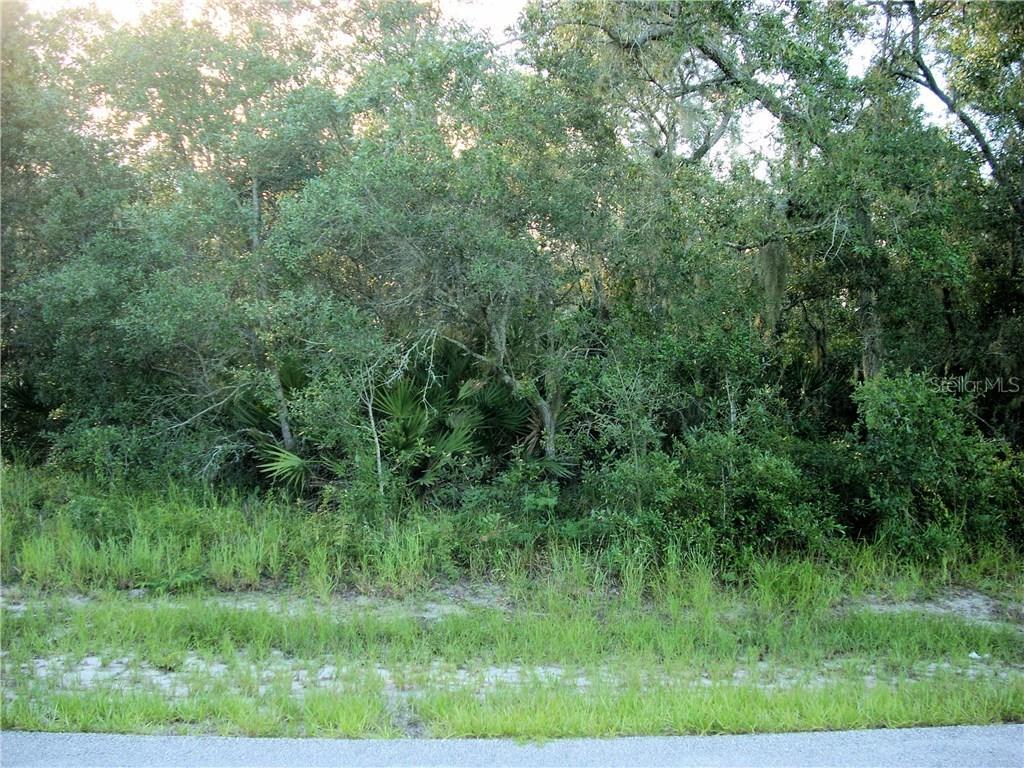 305 Dogfish Way, Poinciana, FL 34759