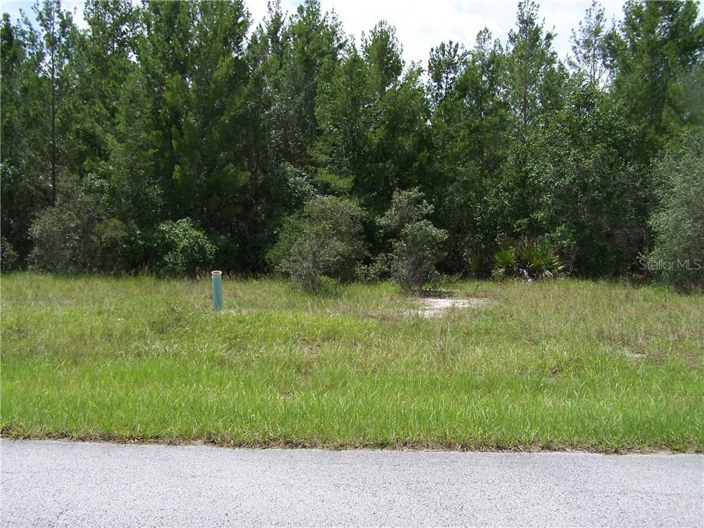 385 Aster Ct., Poinciana, FL 34759