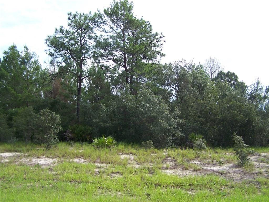 2116 Hibiscus Way, Poinciana, FL 34759