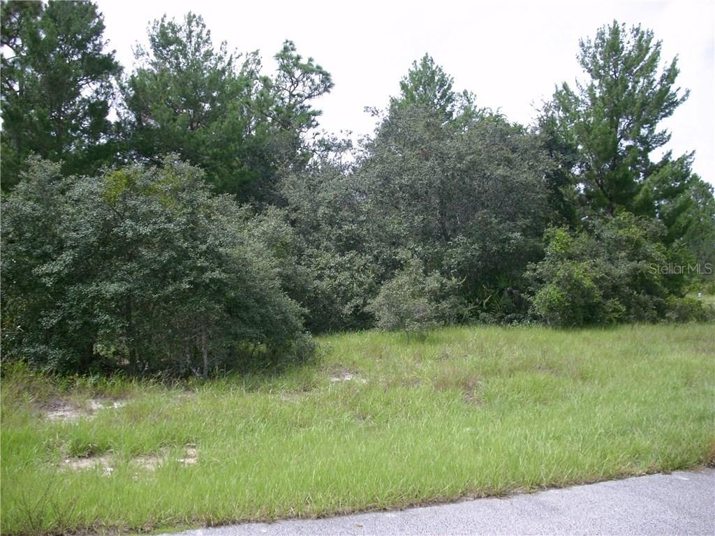 238 Gladiola Ct., Poinciana, FL 34759