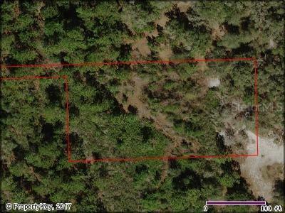 Lakeview Acres Rd., Saint Cloud, FL 34772