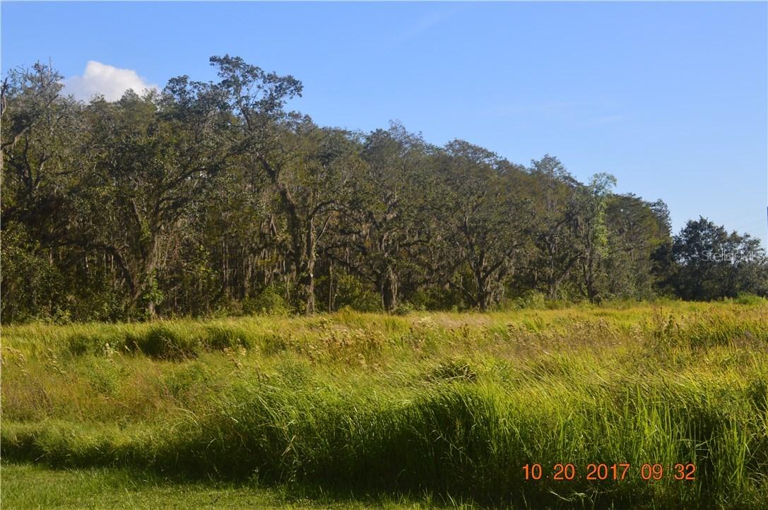 Nanaksar Ln., Kissimmee, FL 34741