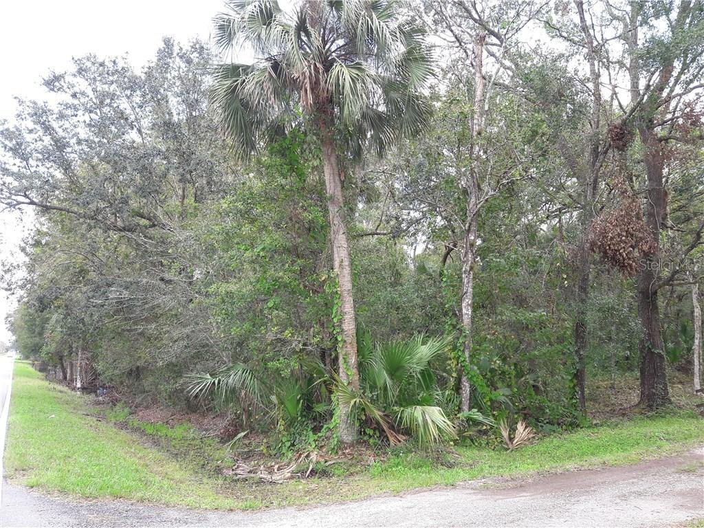 Old Tampa Hwy., Davenport, FL 33896