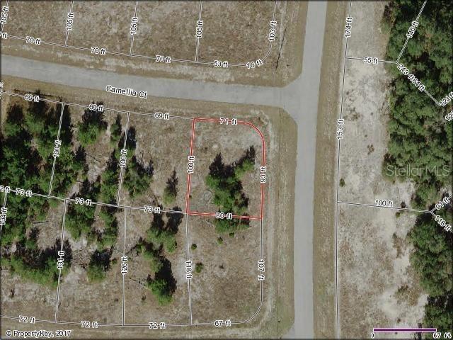 302 Camellia Ct., Poinciana, FL 34759