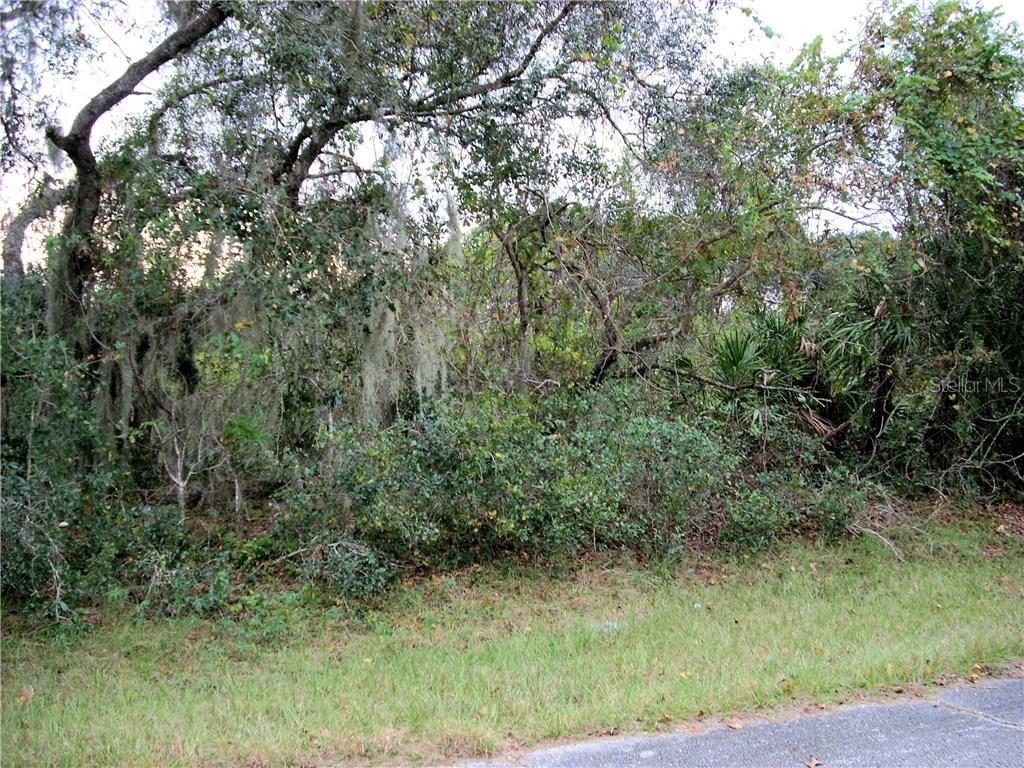 1410 Sebring Ct., Poinciana, FL 34759