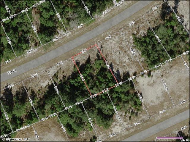 261 Fig Ct., Poinciana, FL 34759