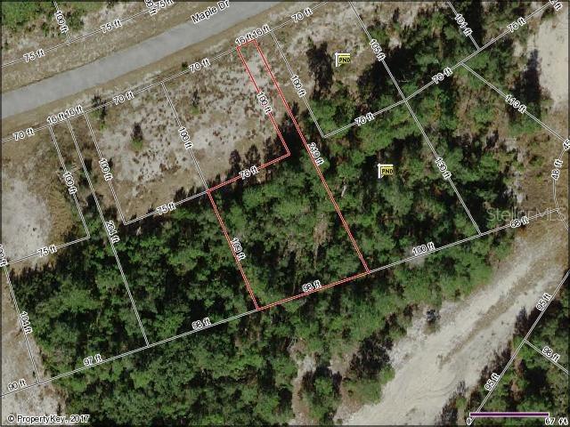 209 Maple Dr., Poinciana, FL 34759