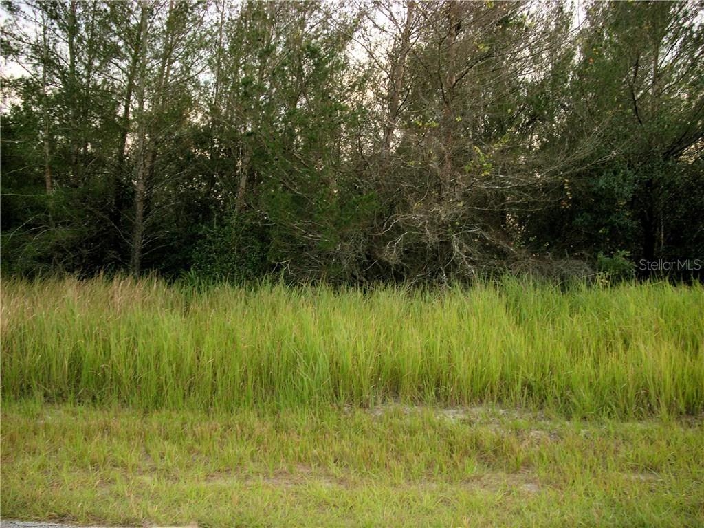 312 Camellia Ct., Poinciana, FL 34759