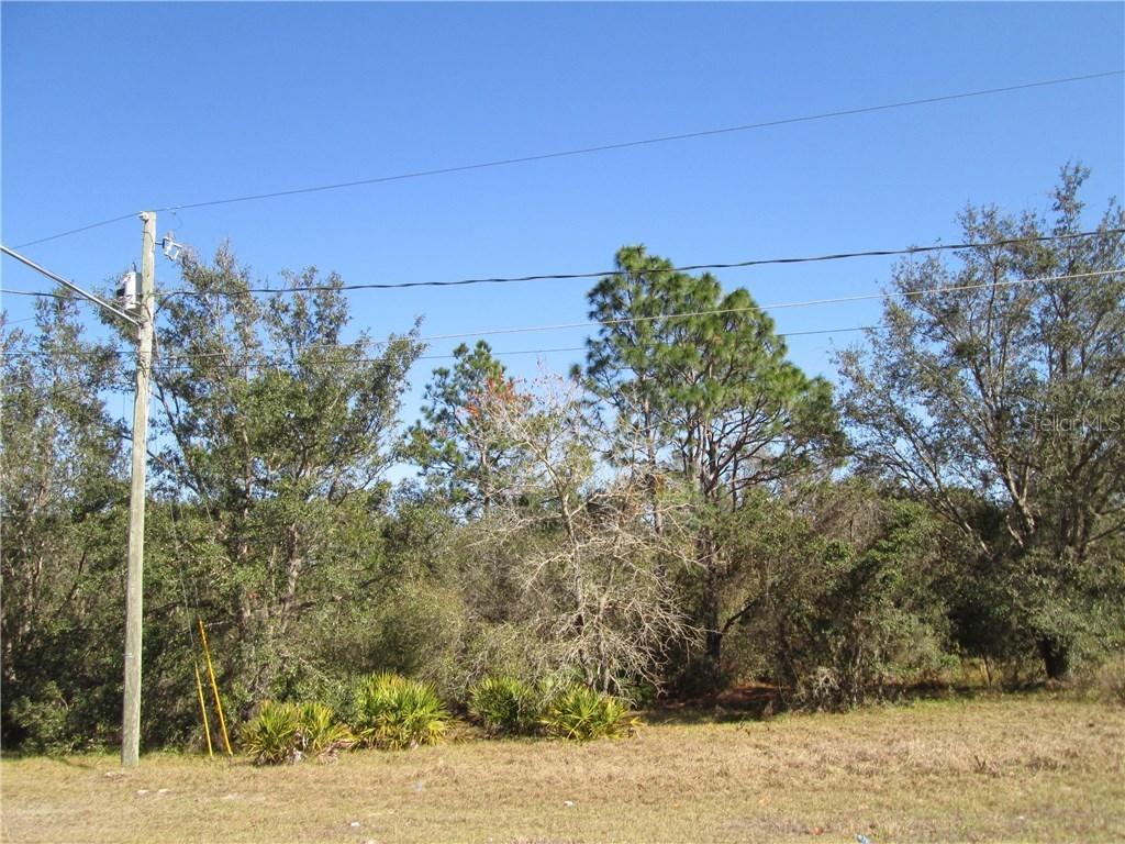 1607 Redfin Dr., Poinciana, FL 34759