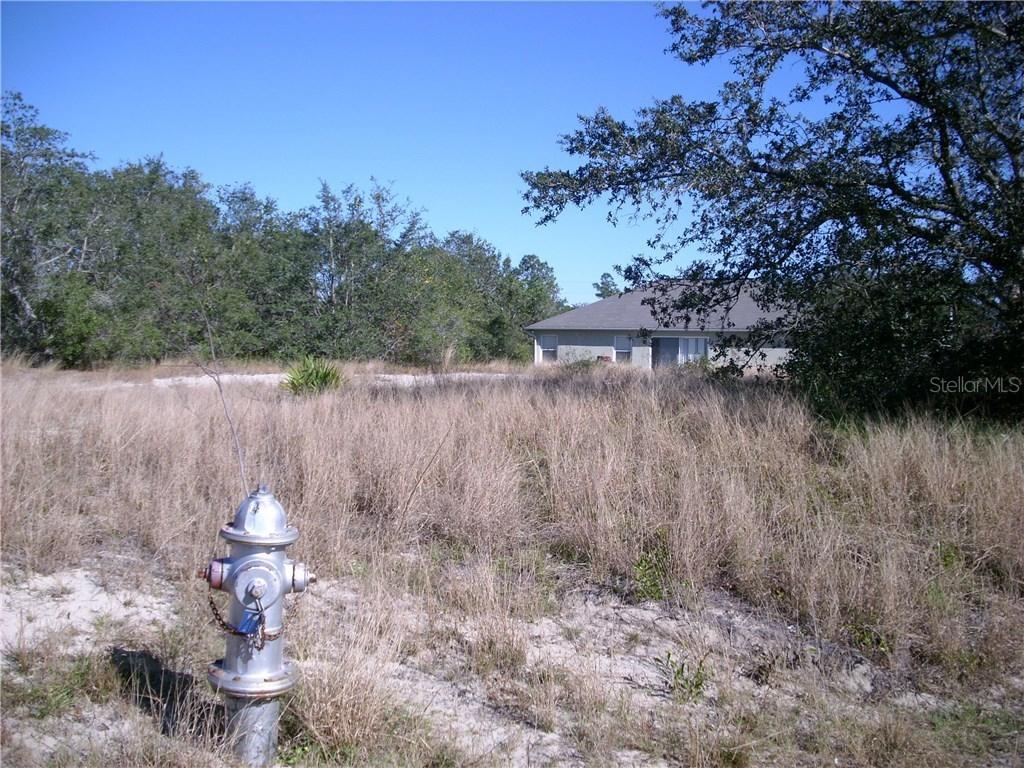 1656 Redfin Dr., Poinciana, FL 34759