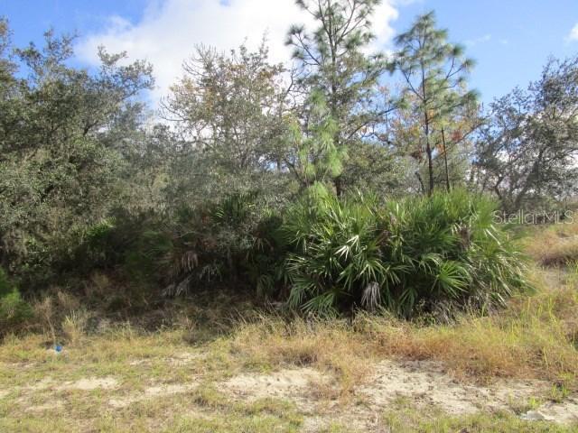 12 Willow Ln., Poinciana, FL 34759