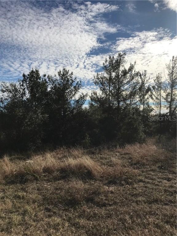 336 Daffodil Ln., Poinciana, FL 34759