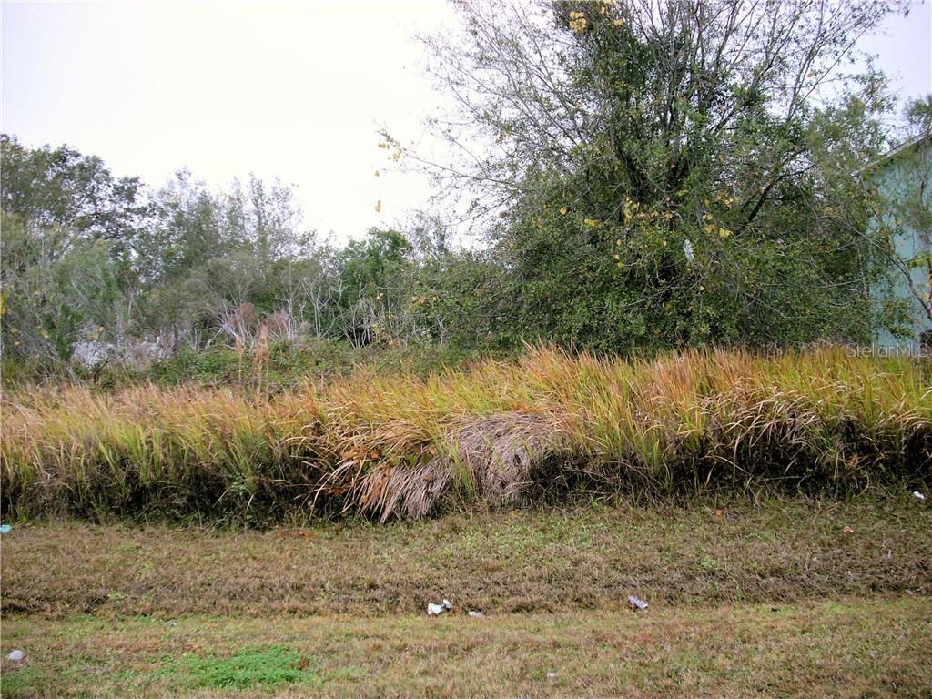 462 Dove Dr., Kissimmee, FL 34759