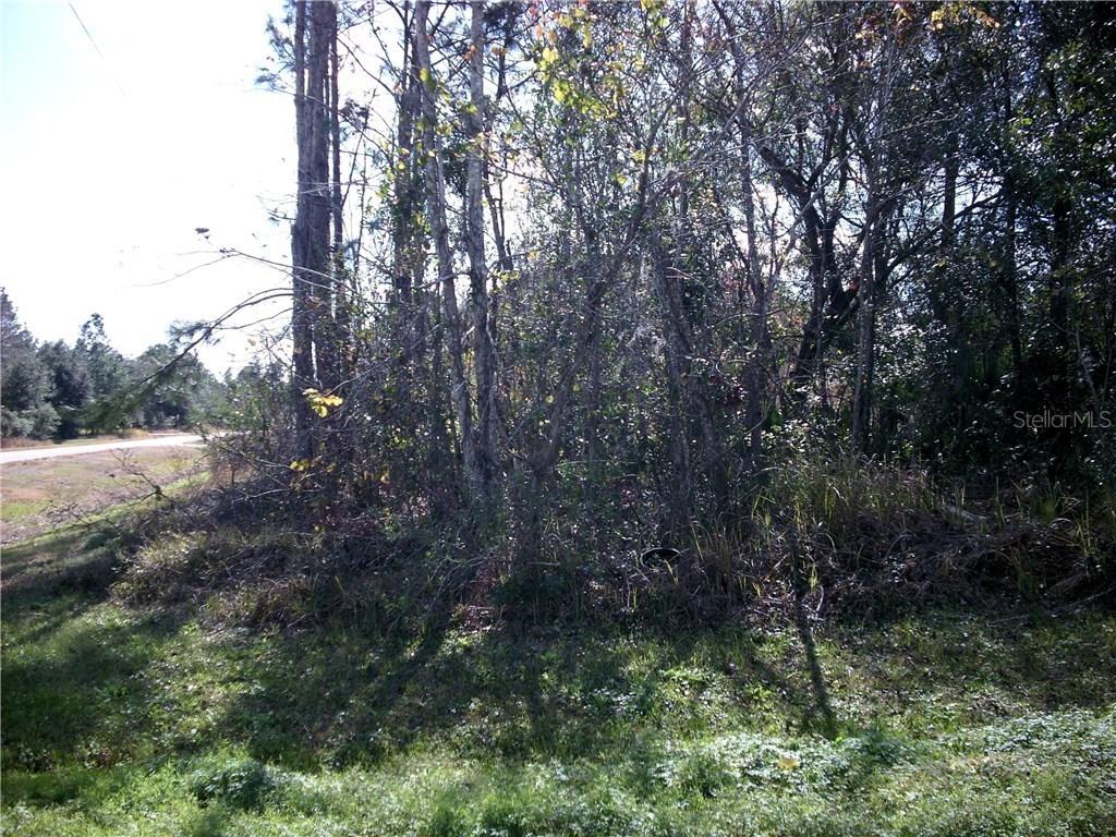 100 Redwing Ct., Poinciana, FL 34759