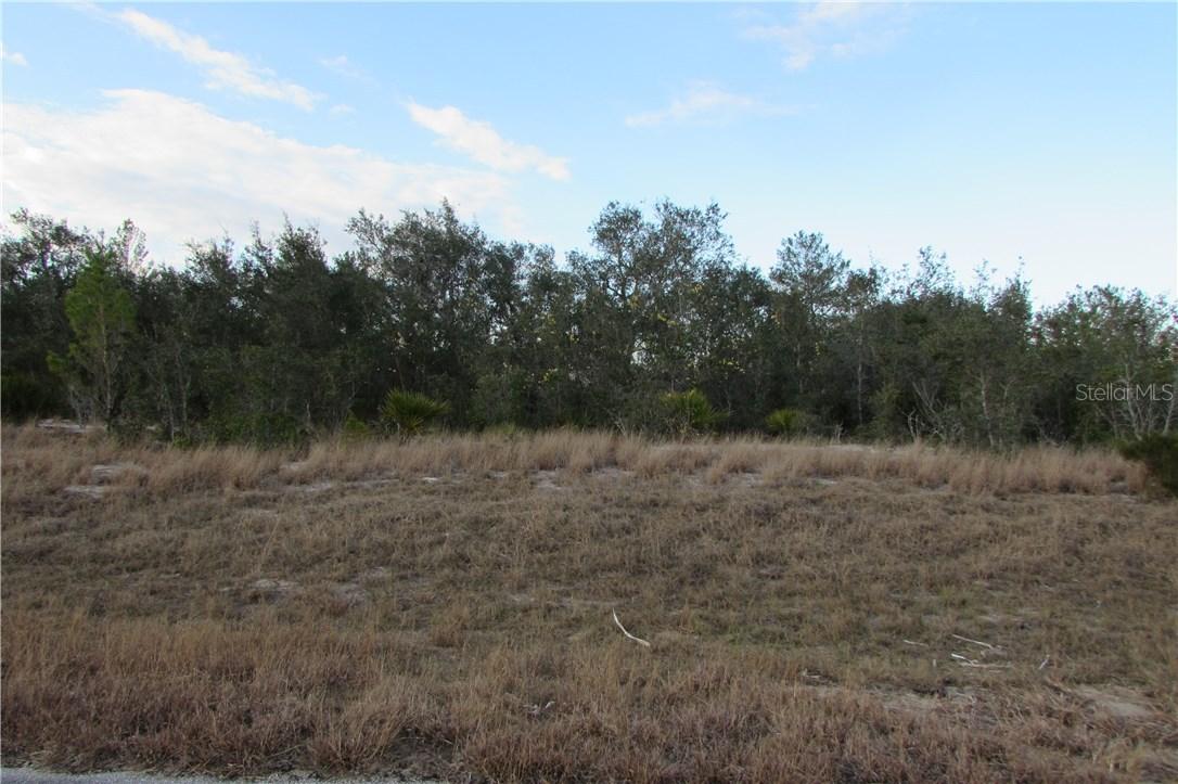 Violet Ct., Poinciana, FL 34759