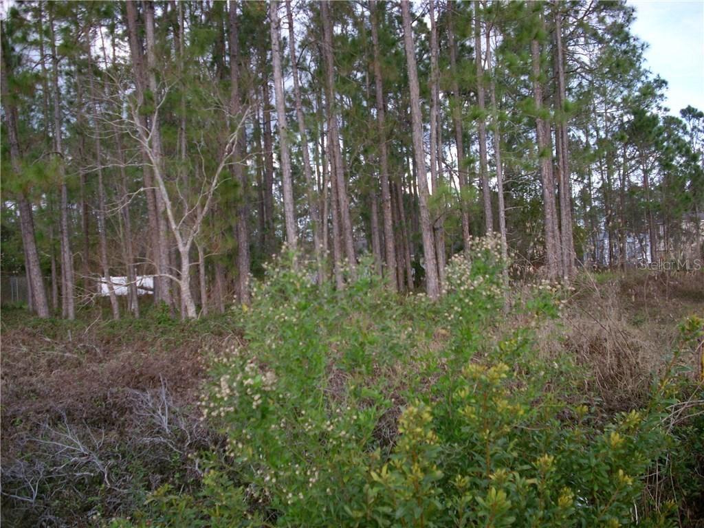 929 Gateshead Ct., Kissimmee, FL 34758